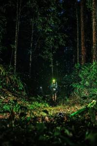 BIB: 
                            <button type="button" onclick="openModal(26207469)" class="btn btn-primary btn-sm float-right btn-popup" data-toggle="modal" data-target=".modal-high-quality">
                        <i class="fas fa-shopping-cart"></i> Add to Cart
                    </button>
                                            <button type="button" onclick="isThisMe(26207469, true)" class="btn btn-success btn-sm float-right btn-popup btn-isme hidden" data-toggle="tooltip" data-placement="bottom" title="นี่คือรูปของคุณใช่ไหม คลิกที่นี่เพื่อเอาเข้าอัลบั้ม">
                        <i class="fas fa-plus"></i> Add to album
                    </button>
                    <button type="button" onclick="isThisMe(26207469, false)" class="btn btn-warning btn-sm float-right btn-popup btn-isnotme hidden">
                        <i class="fas fa-ban"></i> Remove from album
                    </button>